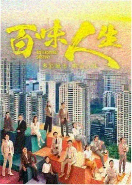 雾港夜航剧集片单封面占位图